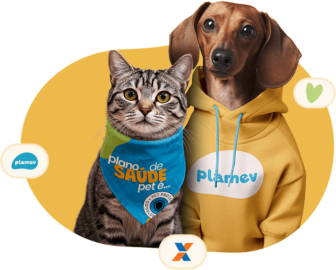 Gato e cachorro vestindo bandana e moletom da Plamev